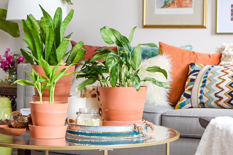 diy-global-style-tray-makeover – Casa Watkins Living